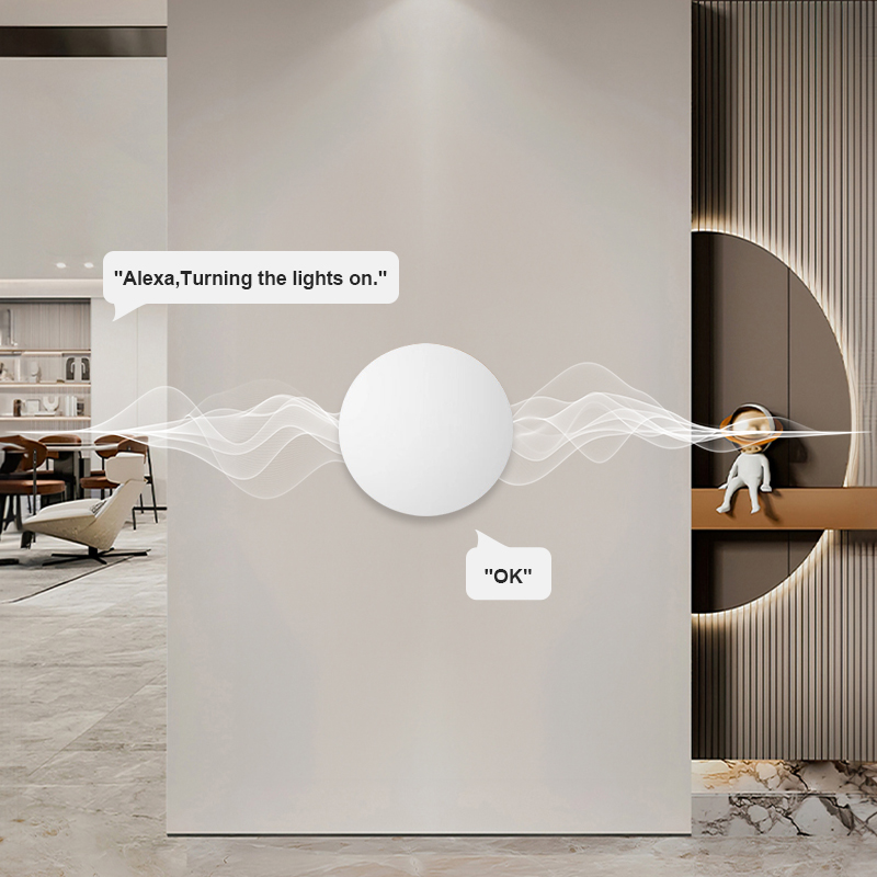 ZigBee Akıllı Kablosuz Düğme S - Smart Home Voice Assistant incelemesi ve fiyatı